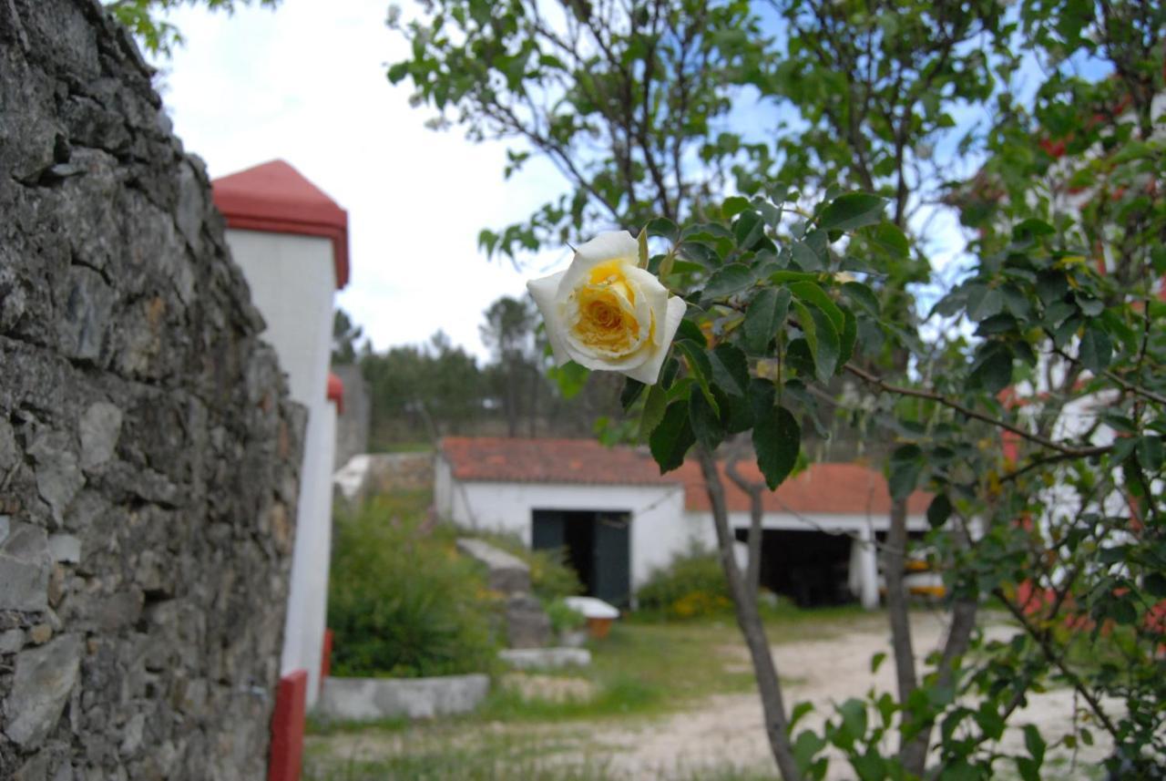 Predio Na Amendoa Villa Exterior foto